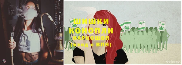 ГАЛЛЮЦИНОГЕННЫЕ ГРИБЫ Костерёво
