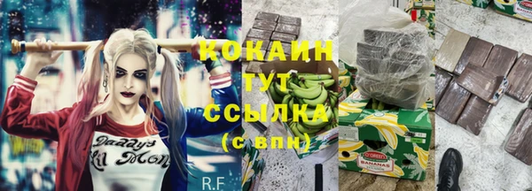 дживик Коряжма