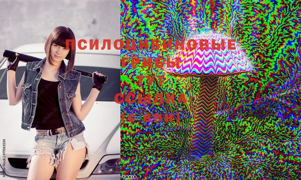 дживик Коряжма