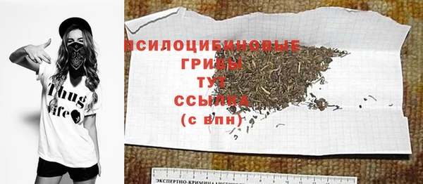 крисы Калининец